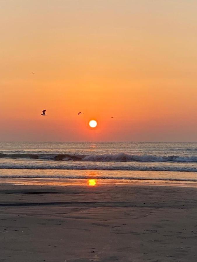 Emi Apartment Mamaia Navodari Dış mekan fotoğraf