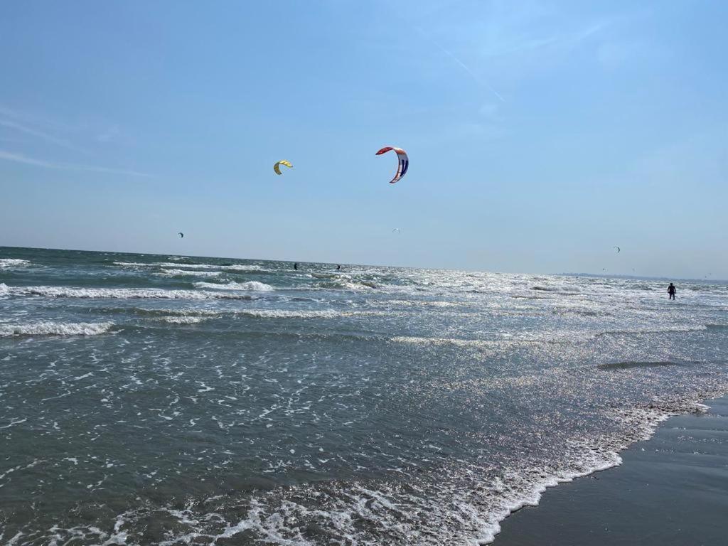 Emi Apartment Mamaia Navodari Dış mekan fotoğraf